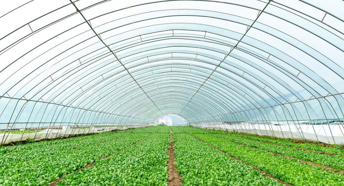 農(nóng)業(yè)電加熱帶